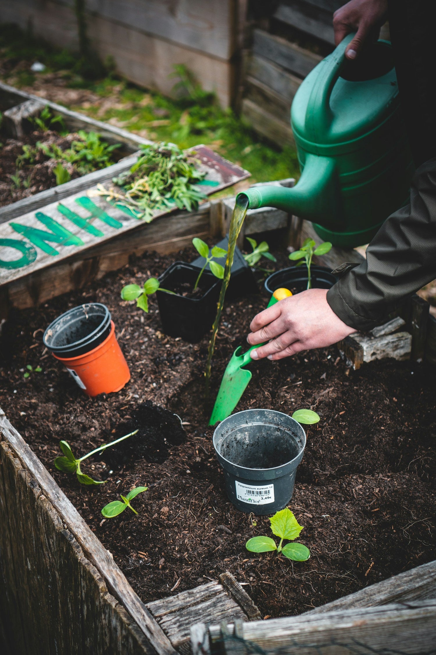 Home & Gardening