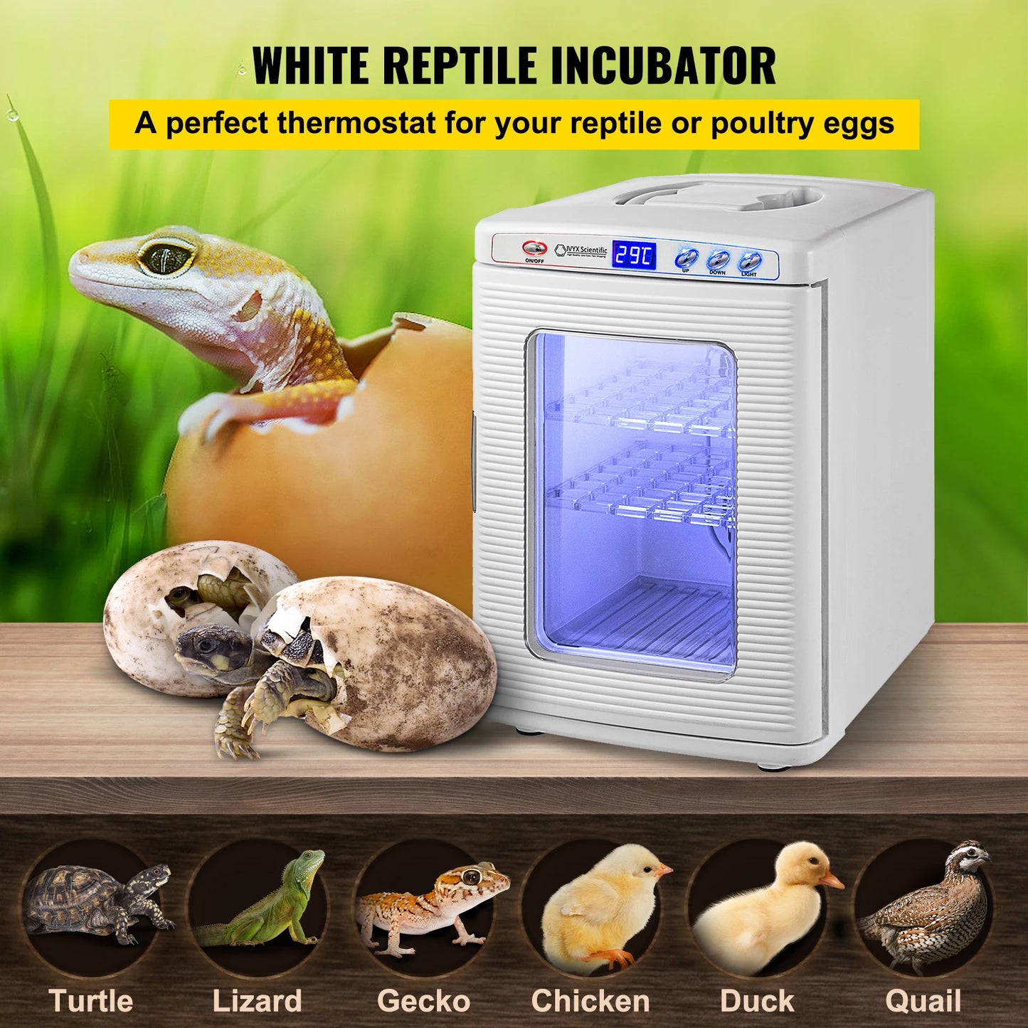 Reptile Incubator Automatic Egg Hatchery For Snakes Turtles