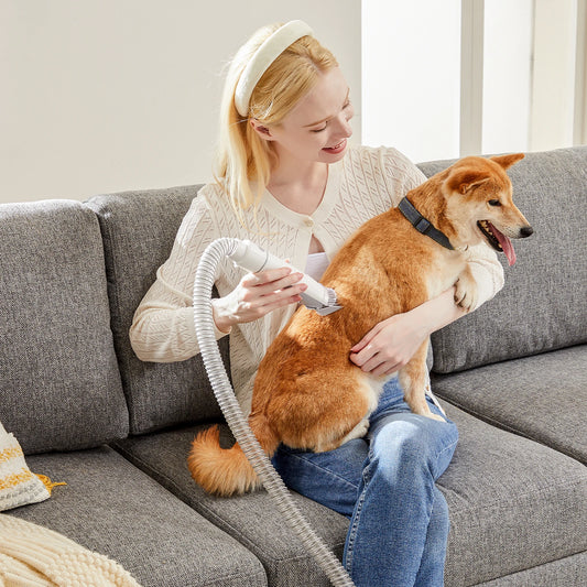 Pet Grooming Vacuum Kit With 3 Suction Modes And Cordless Clippers