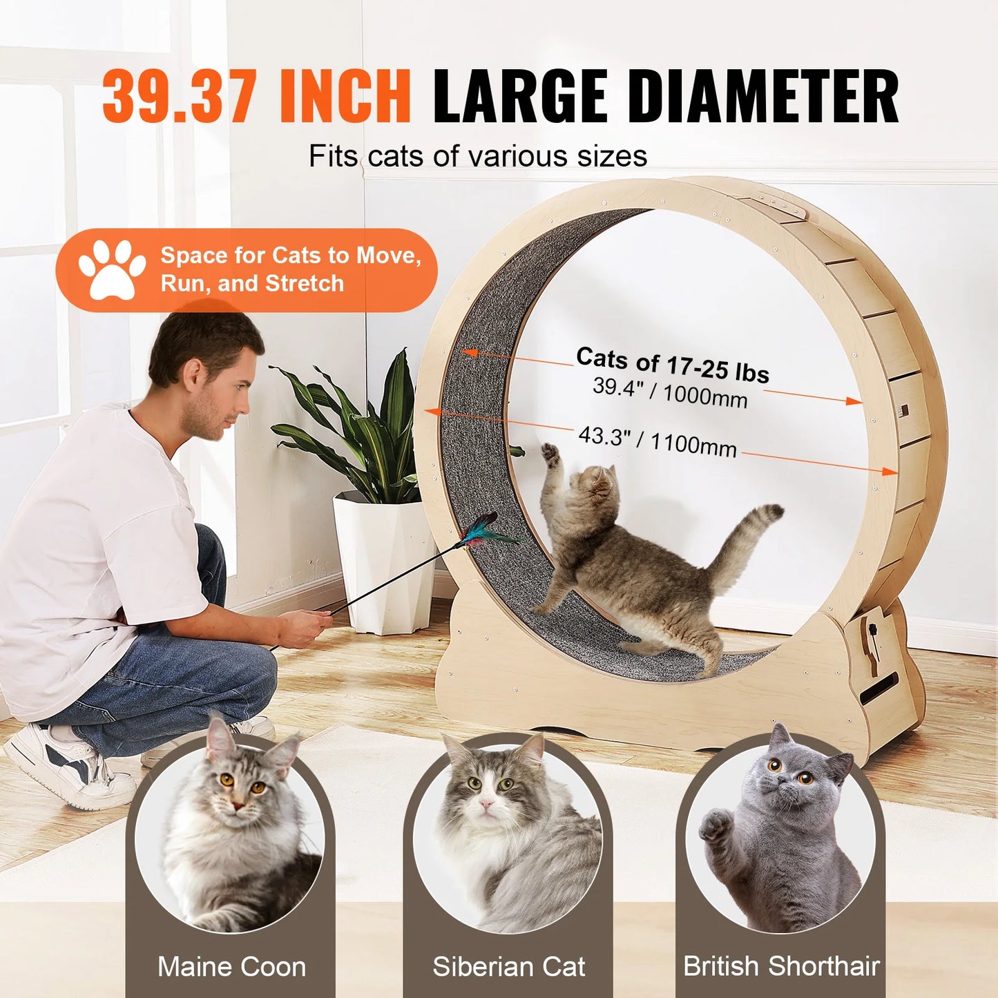 SucceBuy Wooden Cat Exercise Wheel For Indoor Use
